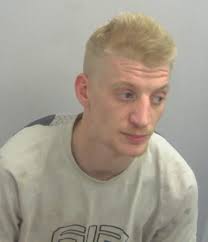 The stories of 22 Cambridgeshire criminals jailed in June