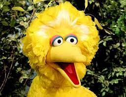 Al Jazeera Gitmo Prisoners Tortured With Sesame Street Music Big Bird The Muppet Show Sesame Street