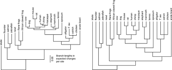 Misconceptions About Evolution