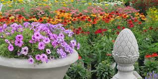 Looking for beautiful summer blooms? Award Winning Home Decor Outdoor Furniture Garden Center And Nursery Down To Earth Living