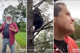 The Deeper Dig: Could activists end hound hunting?