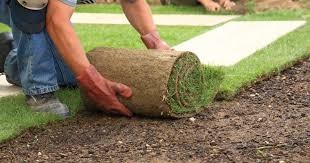 Maybe you would like to learn more about one of these? 7 Landscaping Tips To Increase Your Property S Value