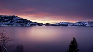 Pin On Chromebook Wallpapers Choose from hundreds of free pastel wallpapers. pin on chromebook wallpapers