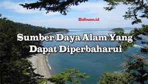 Sumber daya alam (biasa disingkat sda) adalah segala sesuatu yang berasal dari alam yang dapat digunakan untuk memenuhi kebutuhan hidup manusia. 12 Sumber Daya Alam Yang Dapat Diperbaharui Dan Manfaatnya Berbagi Cerita Opini Edukasi Dan Hiburan