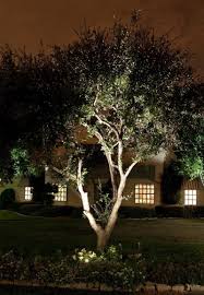 Moon Visions Lighting Moon Visions Led Lamps Landscape Lighting Outdoor Garden Lighting Landscape Elements