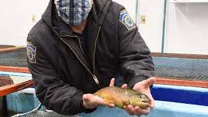 2022 Pa Trout Stocking Schedule Pa Trout Stocking Schedule 2022: Pfbc Will Start Feb. 21.