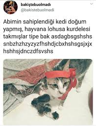 Lohu Kurdeleli Kedi Miiiizzzzaaaaaahhhhh Komik Seyler Komik Alintilar Komik