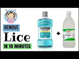 It is clear acetic acid in water or a simple (usually very cheap) chemical mixture or obtained by fermentation of distilled alcohol. Howto How To Get Rid Of Lice At Home Fast