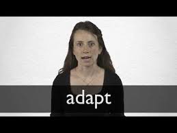 The wisconsin card sorting task, which requires individuals to adapt to new rules, shows that normal aging decreases cognitive flexibility in humans (boone et al., 1993). Adapt Synonyms Collins English Thesaurus