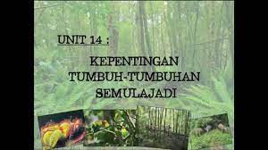 Komponen biotik bergantung kepada komponen abiotik. Kejadian Tumbuh Tumbuhan January 2016