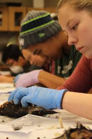 An Unforgettable Mountain School Adventure