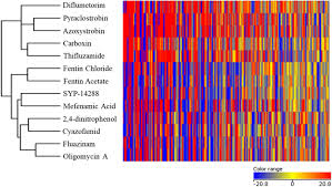 We did not find results for: Frontiers Metabolic Fingerprinting For Identifying The Mode Of Action Of The Fungicide Syp 14288 On Rhizoctonia Solani Microbiology
