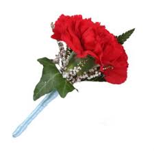 Essa imagem transparente de cravo, flor, fotografia foi compartilhada por. Cravos Flor Entrega Entrega De Flores Madrid Madrid De Florista Online