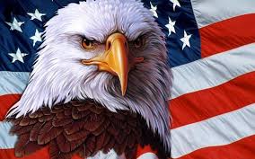 Support us by sharing the content, upvoting wallpapers on the page or sending your own. American Eagle Hd Wallpapers Top Free American Eagle Hd Backgrounds Wallpaperaccess