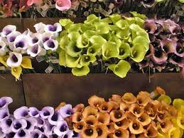 The owners of silk silk flowers are the best and i couldn't ask for better customer. Saleplace Silk Flowers In Dallas Fort Worth Texas