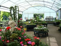 Not So Dog Friendly Scotland Nurseries Garden Centre Gift Shop Tansley Traveller Reviews Tripadvisor