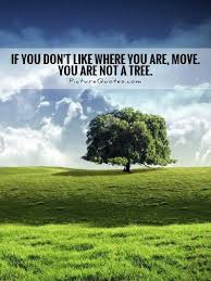 If You Dont Like Where You Are Move You Are Not A Tree Quote 1 Jpg 480 640 Tree Quotes Picture Quotes Motivational Picture Quotes