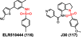 Image result for Ottelia lisowskii