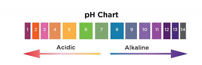 Food Cravings Chart Whole Health Designs