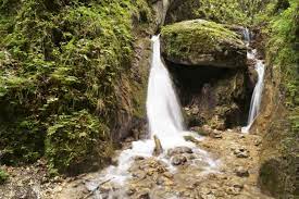 Drumetie la canionul 7 scari si excursie la poiana brasov! Canionul 7 ScÄƒri Unde Se AflÄƒ È™i Ce ActivitÄƒÈ›i PoÈ›i Face Trasee È™i Obiective Turistice In ZonÄƒ Libertatea