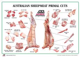 Farming Export Halal Chilled Premium Lamb Australian Lamb
