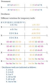 Sarjeevs Supernumerary Tooth Notation System A Universally