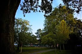 Rollercoaster Suzanne & Gavin, Lensbury Club, Teddington