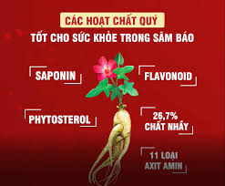 Báo nói đọc tin tức online việt nam thế giới nóng nhất trong ngày, kinh doanh việc làm, pháp luật đời sống, giáo dục sức khỏe, thể thao giải trí, công nghệ, văn hóa xã hội, ôtô xe máy, tình yêu, nhân ái, bạn đọc. Chá»§ Ä'á» Sam Bao Thanh Hoa
