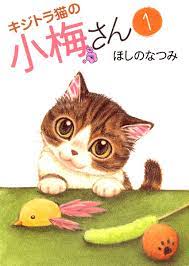キジトラ猫の小梅さん（１） - ほしのなつみ - 漫画・無料試し読みなら、電子書籍ストア ブックライブ