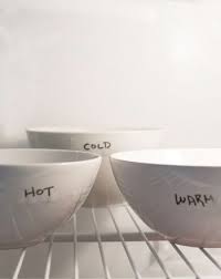 Does Hot Water Freeze Faster Than Cold Water Science Project Education Com Cool Science Fair Projects Science Fair Science Fair Projects