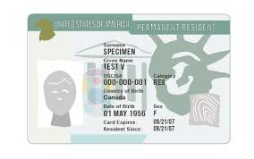 The steps you must take to apply for a green card will vary depending on your individual situation. Renew Expired Green Card What To Do Now Road To Status