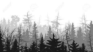 Black and white forest clipart. Cool Forest Drawing Black And White Novocom Top