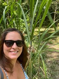 Native sugar sand soil produce options in zone 8b