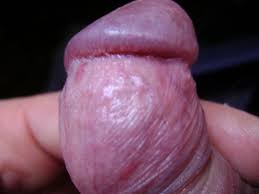 Pene curvo - Latina On Yuvutu Homemade Amateur Porn Movies And XXX Sex  Videos