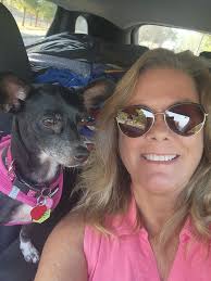 Chihuahua saves owner's life with timely intervention