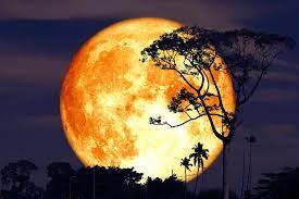 It's said to be called so, because the male deer begin to grow their antlers around this. The Next Full Moon Is The Buck Moon Here S Everything You Need To Know