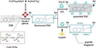 Interchangeable filters can also be used in fluorescence scanners to attenuate the sample signal itself so that it falls within the image filtering image artefacts caused by dust or bubbles complicate fluorescence analysis of gels and membranes. Fluorometry Detection For Trypsin Via Inner Filter Effect Between Cytochrome C And In Situ Formed Fluorescent Thiochrome Talanta X Mol