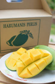 Mempelam harum manis sedia utk di pos. Harumanis Perlis Crisp Of Life