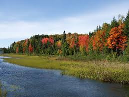 We did not find results for: 1000 Island Lake Rd Michigan Fall Color Tour Watersmeet Gogebic County Michigan Interactive