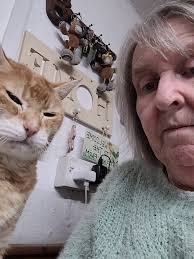 This morning I went to the LBA Facebook page and there were all the posts  from us but I just went to it again and I can't see any