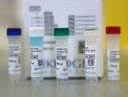 Die virologin sandra ciesek meint: In Drei Stunden Zum Ergebnis Mikrogen Bringt Corona Schnelltest Auf Den Markt Biom