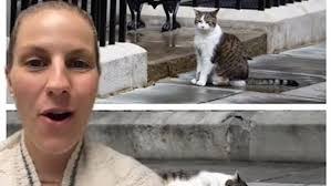 Larry Cat's Instagram, Twitter & Facebook