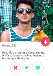 To compete with tinder, your mobile app has to have a unique value proposition. 19 Times People S Bios On Dating Apps Were So Good That You Just Had To Swipe Right