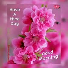 These good morning images will work like magic for your best dear ones and help you to express your love and care towards them. Good Morning Flowers To My Friend