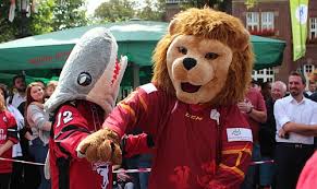 Wszystko na temat drużyny f. Dormagen Duell Am Stadtstrand Dusseldorfer Eg Gegen Kolner Haie Titelthemen Report D De Dusseldorf Internetzeitung