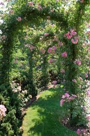 Pin On Secret Garden