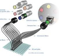 Fiber Optic System for PCR Fluorescence Detection