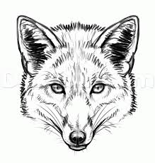 Draw this fox by following this drawing lesson. How To Draw Foxes Step By Step Forest Animals Animals Free Online Drawing Tutorial Added By Makangeni Septemb Fox Drawing Fox Sketch Fox Drawing Sketches