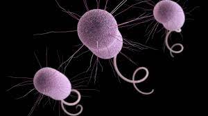 Antibiotics Can't Keep Up With 'Nightmare' Superbugs : Npr