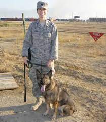 Check spelling or type a new query. Military Discounts Pet Air Carrier Llc